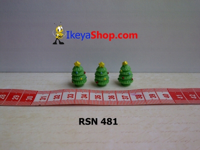 rsn 481  large2